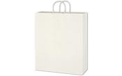 Paper Shopping Bag (16 x 19) (Flexography)