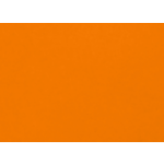 Double Window Invoice Envelope (4 1/8 x 9 1/8)