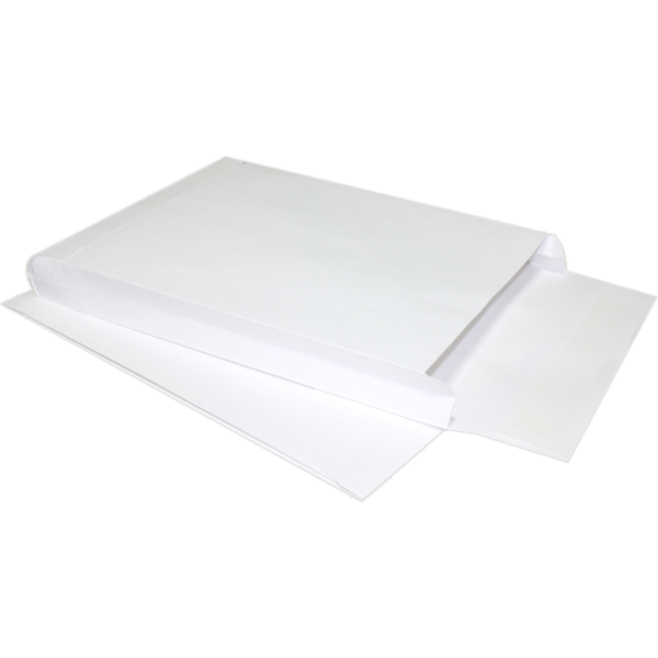 10 x 13 x 2 Expansion Envelope 40lb. White Kraft