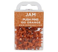 Push Pins (Pack of 100)