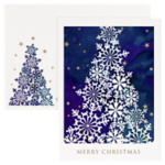 5 x 7 Folded Card Set (Set of 25)