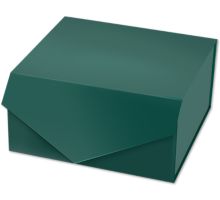 8 x 8 x 4 Collapsible Gift Box w/Magnetic Closure & 2PCS of Tissue Paper
