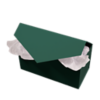 9 x 4 1/2 x 5 Collapsible Gift Box with Magnetic Closure & 2PCS of Tissue Paper Green