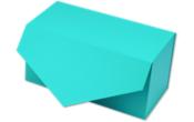9 x 4 1/2 x 5 Collapsible Gift Box with Magnetic Closure & 2PCS of Tissue Paper
