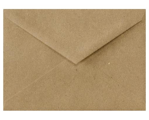 Lee BAR Envelope (5 1/4 x 7 1/4) Grocery Bag