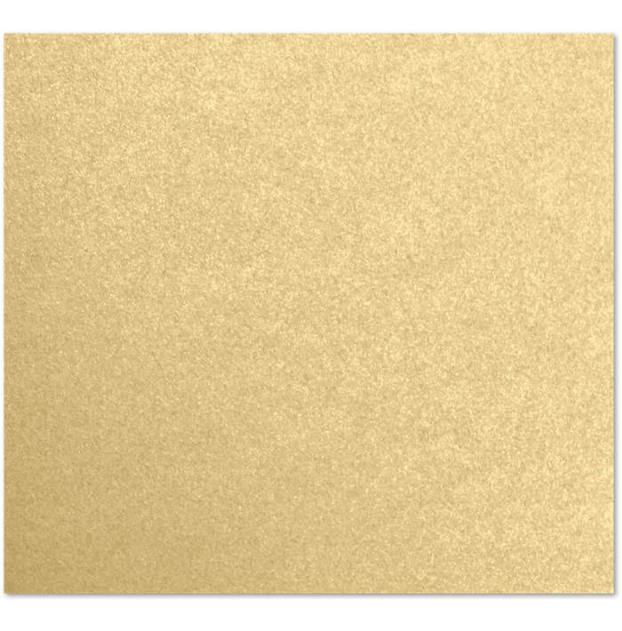 Blank A10 DropIn Envelope Liner (9 x 7 9/16)Blonde Metallic
