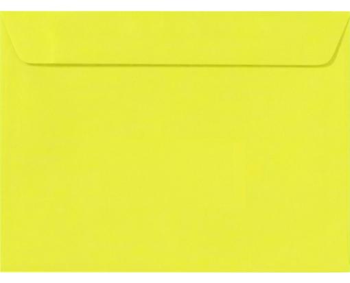 9 x 12 Booklet Envelope Citrus