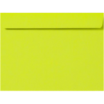 9 x 12 Booklet Envelope