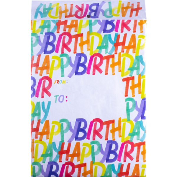 Medium Mailing Envelope (9 x 12) Rainbow Birthday