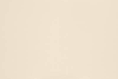 Natural 100lb. Linen