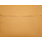 10 x 15 Document Envelope