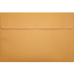 10 x 15 Document Envelope