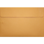 10 x 15 Document Envelope