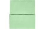 6 3/4 Remittance Envelope (3 5/8 x 6 1/2 Closed) Pastel Green