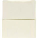 #6 1/4 Remittance Envelope (3 1/2 x 6 Closed)