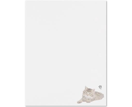 Rachael Hale® 8 1/2 x 11 Paper (Pack of 10) Rachael Hale Cat