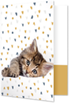 Rachael Hale® 9 x 12 Presentation Folder Rachael Hale Cat