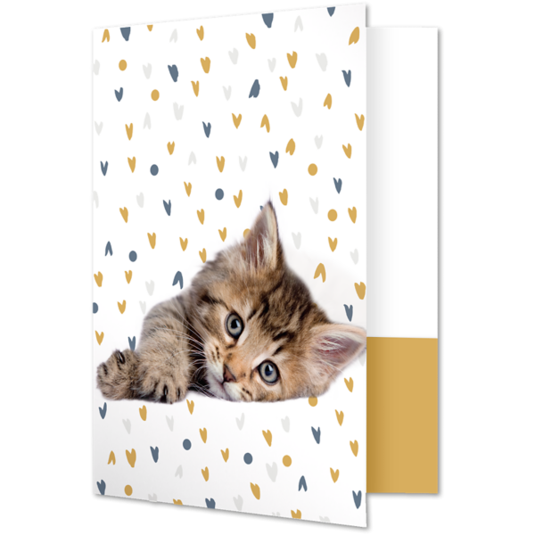Rachael Hale® 9 x 12 Presentation Folder Rachael Hale Cat