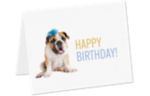 Rachael Hale A2 Folded Card Set (Pack of 10) Rachael Hale Dog