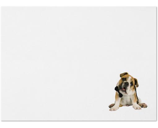 Rachael Hale® A7 Invitation Envelope (5 1/4 x 7 1/4) Rachael Hale Dog
