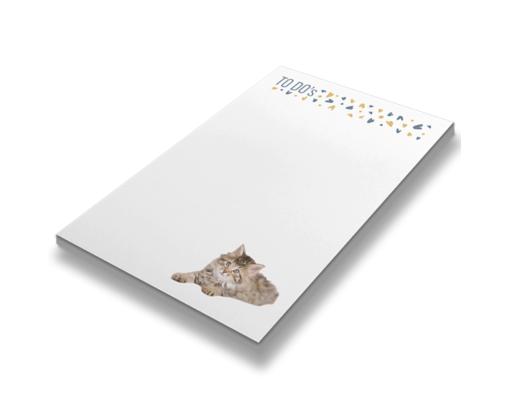 Rachael Hale® 4 x 5 1/2 Notepad (50 sheets/pad) Rachael Hale Cat