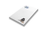 Rachael Hale 4 x 5 1/2 Notepad (50 sheets/pad) Rachael Hale Dog