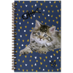 Rachael Hale® 8 1/2 x 11 Paper (Pack of 10)