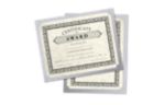 9 1/2 x 12 Single Certificate Holder Silver Metallic