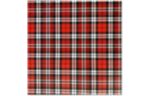 Large Wrapping Paper Roll (5 x 30) Authentic Plaid