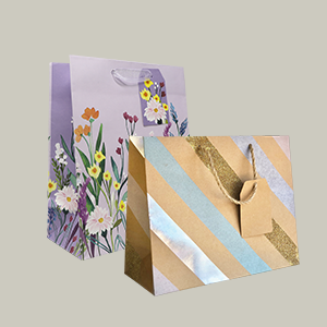 Gift Bags | Envelopes.com