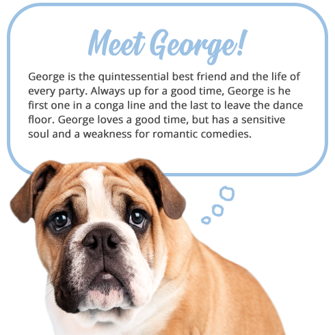 Meet George | Rachael Hale Brand | Envelopes.com