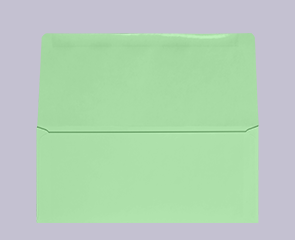 Remittance Envelopes | Envelopes.com